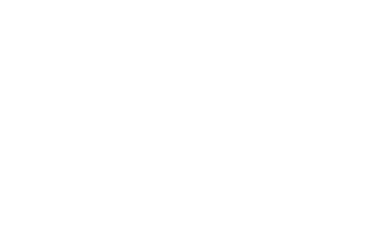 Stadt Erbach