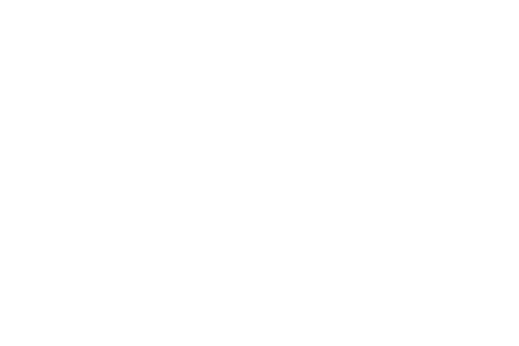 formvielfalt